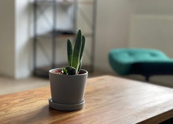 Modern * Zentral * Netflix * Arbeitsplatz